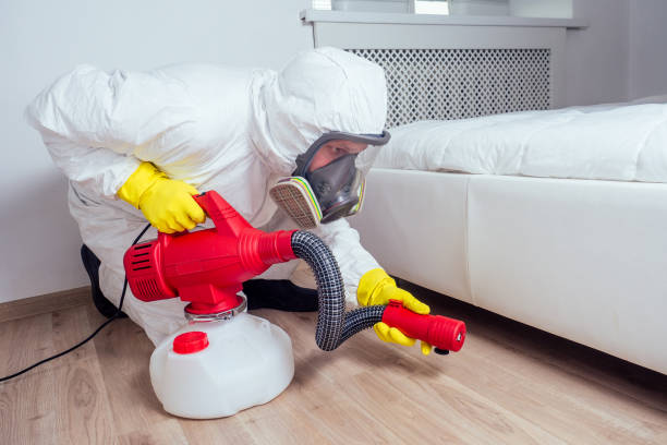 Best Emergency Pest Control  in Jean Fitte, LA